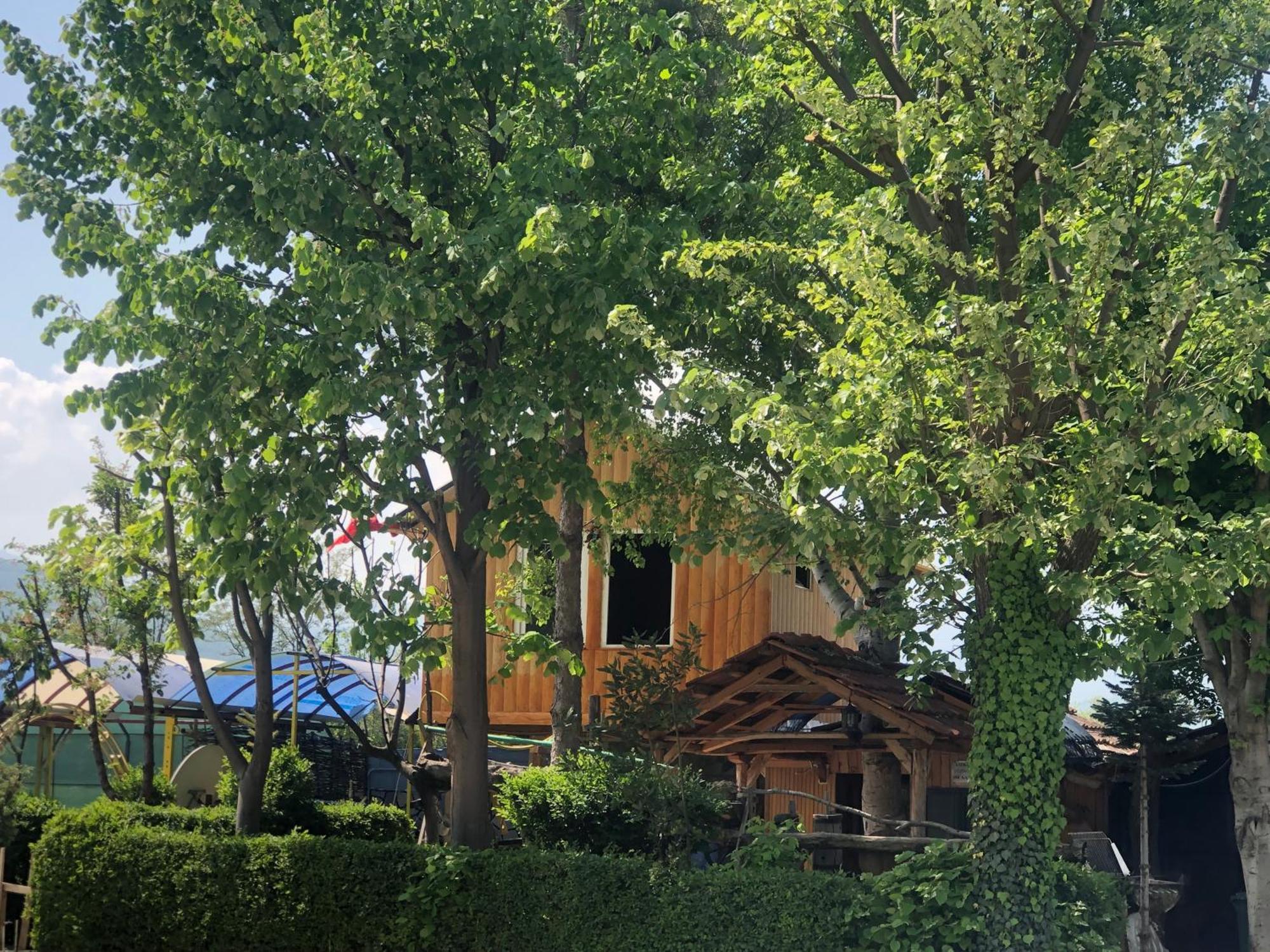Bujtina Gashi Guest House Kukes Dış mekan fotoğraf