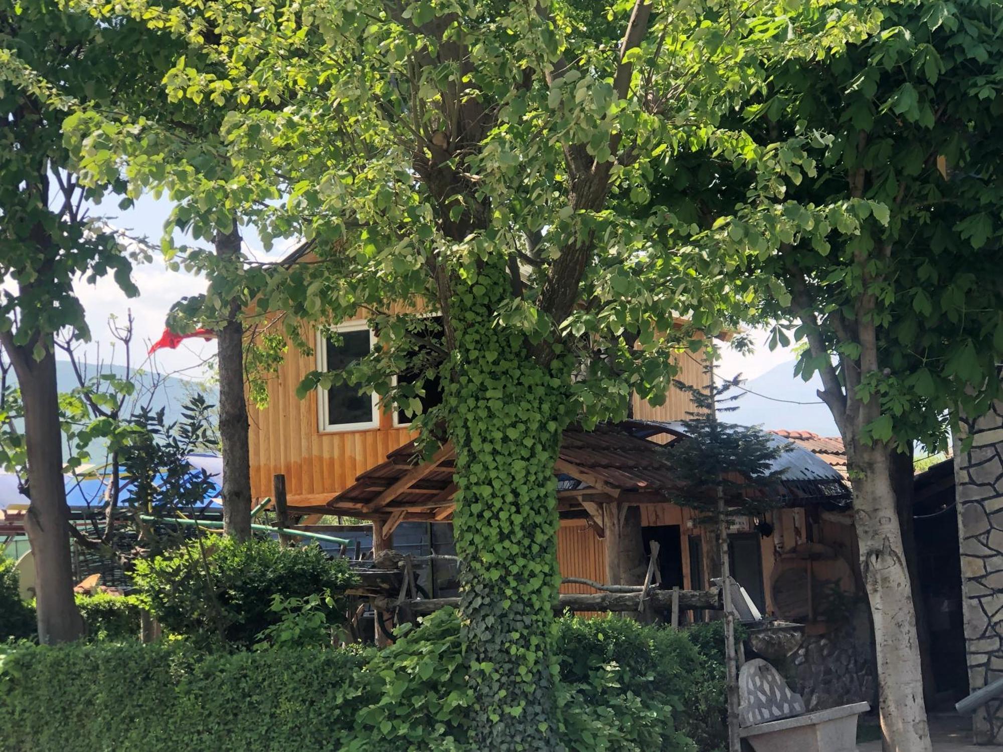 Bujtina Gashi Guest House Kukes Dış mekan fotoğraf