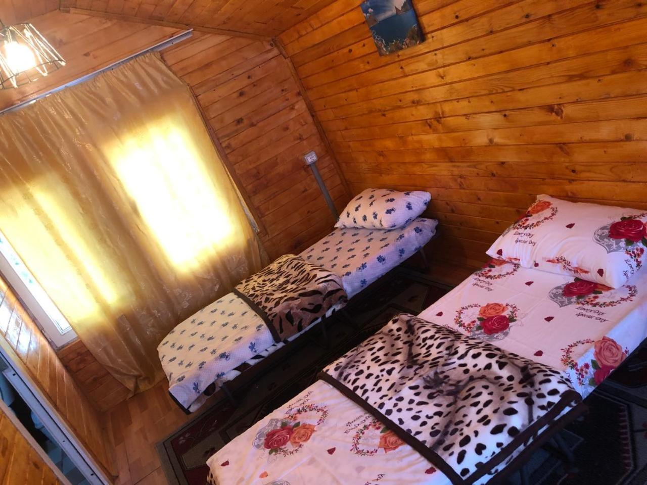 Bujtina Gashi Guest House Kukes Dış mekan fotoğraf